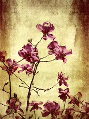 Obraz na płótnie Canvas Beautiful grunge background with magnolia