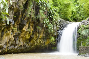 Meubelstickers Annadale Falls, Grenada © Richard Semik