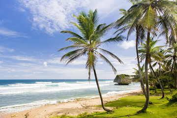 Bathsheba, Eastern coast of Barbados, Caribbean