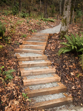 New Steps Intp Park