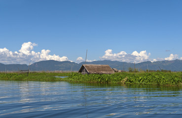 Floating Gardens on the Inle lake in Burma (Myanmar).