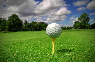 Golf course from ball view
