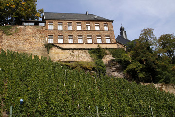 Weinberge in Saarburg