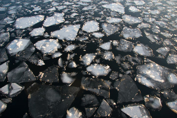Eisschollen