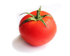 tomato on a white background