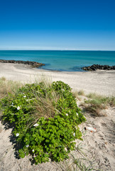 Skagen