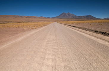 Fototapeta na wymiar Dry Desert Road through San Pedro de Atacama in Chile