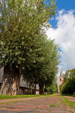 Road with willow trees and church