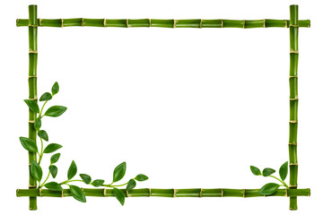 Bamboo frame