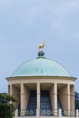 Fototapete bei efototapeten.de bestellen   