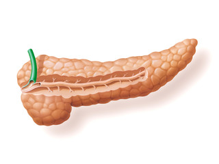 Pankreas