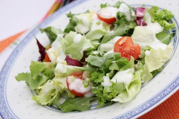 Frischer Salat
