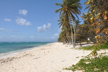 Plage de la Feuill&egrave;re, Marie-Galante, Guadeloupe