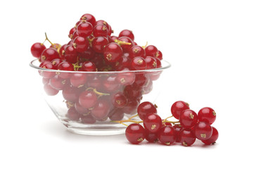 Red currant