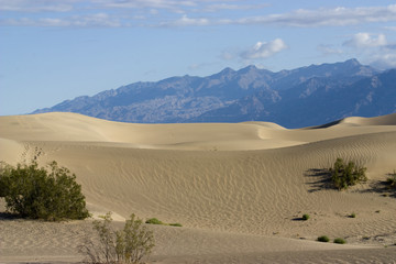 sand dunes death valley