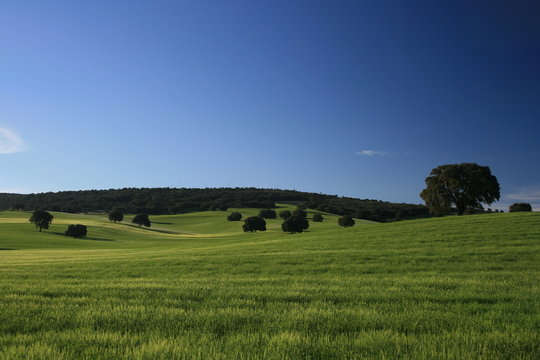 Dehesa de Agr&oacute;n