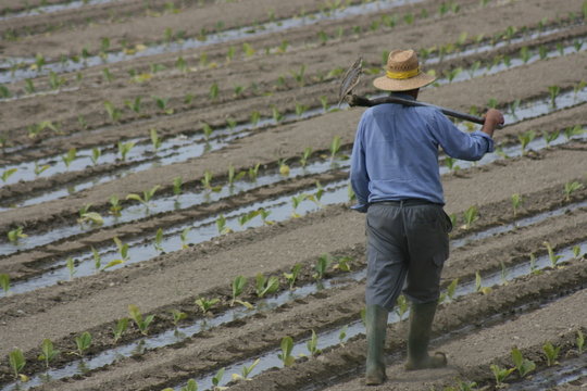 con la azada al hombro