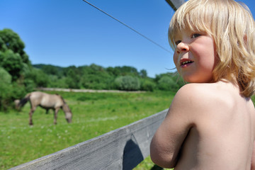 Kind beobachtet Pferdeherde