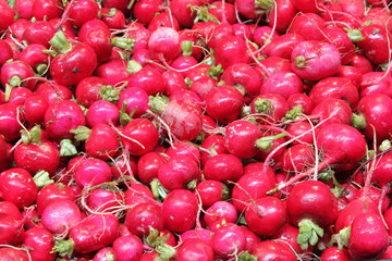 Radishes in market