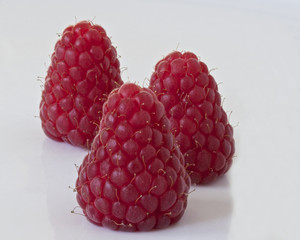 Scottish Raspberries 06
