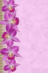 Lavender Orchids background