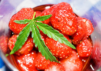 strawberry and sheet of hemp
