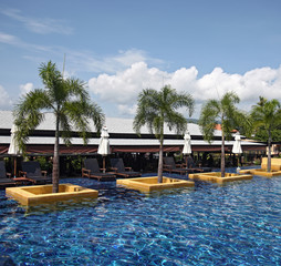 Pool with palms and sunbeds