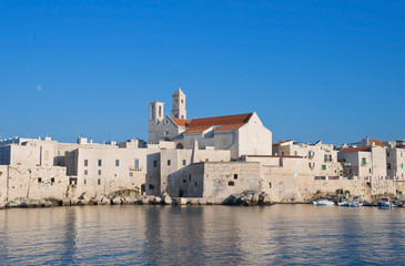 Fototapeta na wymiar Katedra na morzu. Giovinazzo. Apulia.