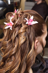 Naklejka premium coiffure 4