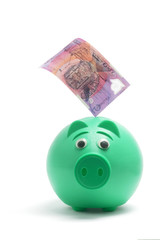 Dollar Note and Piggy Bank