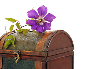 Blume auf Truhe