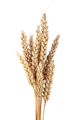 Getreide isoliert auf weißem Hintergrund