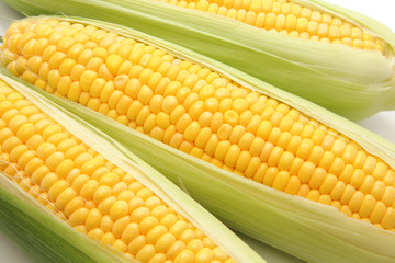 トウモロコシ