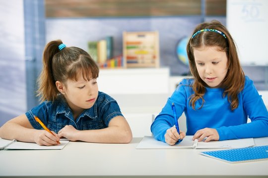Schoolgirls learning in classroom