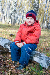 Little boy in autumn birch forest