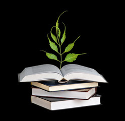 Tree seedling growing from an open book