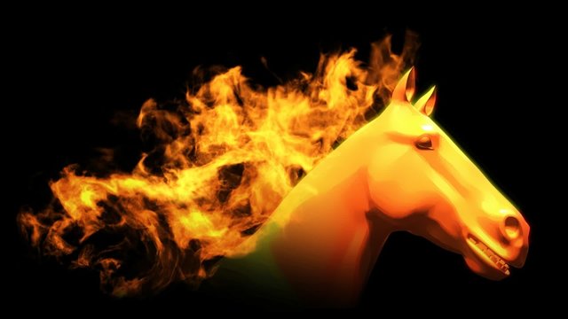 Horse with burning mane