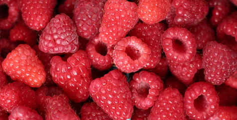 Full Frame Raspberries