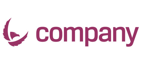 Eagle icon for security company logo