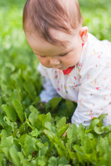 A little girl sitting on green grass in the park