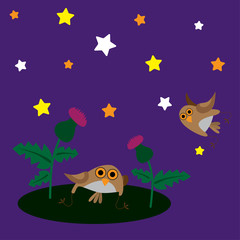 Owls and thistle