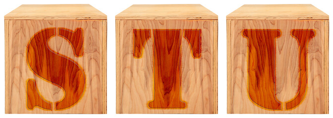 Wood Engraved Alphabet Blocks S T U