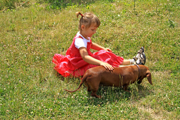 four-year-old girl stroking a small dog