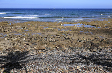 Spain, Canary Islands, Tenerife, Playa de las Américas