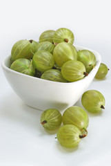 Gooseberry