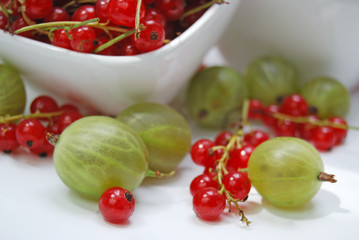 Red currants and gooseberry