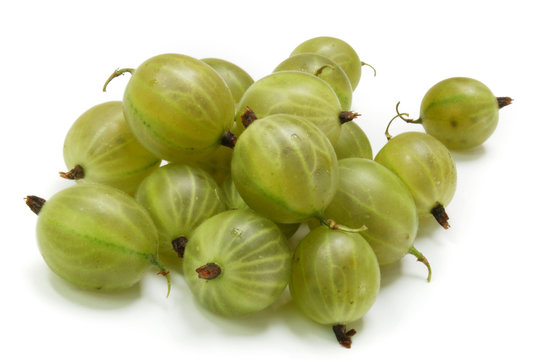Gooseberry
