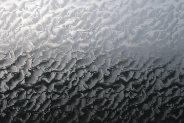 special frosted glass showing all its details