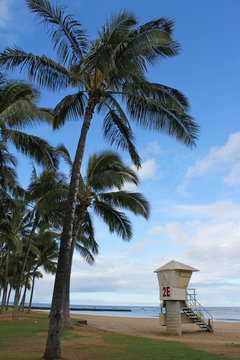 Waikiki Beach