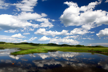 Fototapeta premium Landscape in grassland